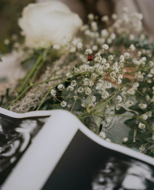 The Momentum FERTILITY Package