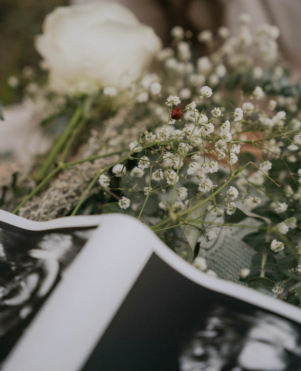 The Momentum FERTILITY Package